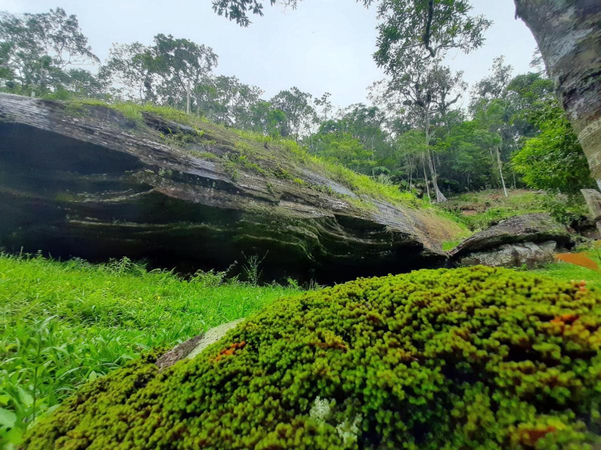 فيلا Morada Da Pedra برايا جراندي المظهر الخارجي الصورة